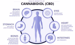 cbd benefits 1 medium